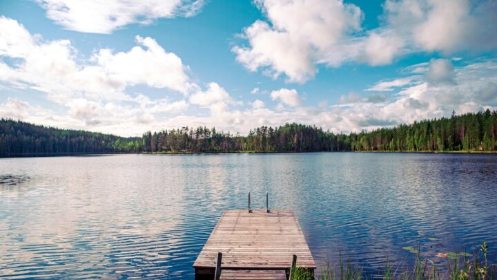 Laituri järven rannalla